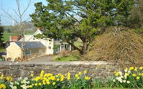 Pen-Y-Bont Guest House